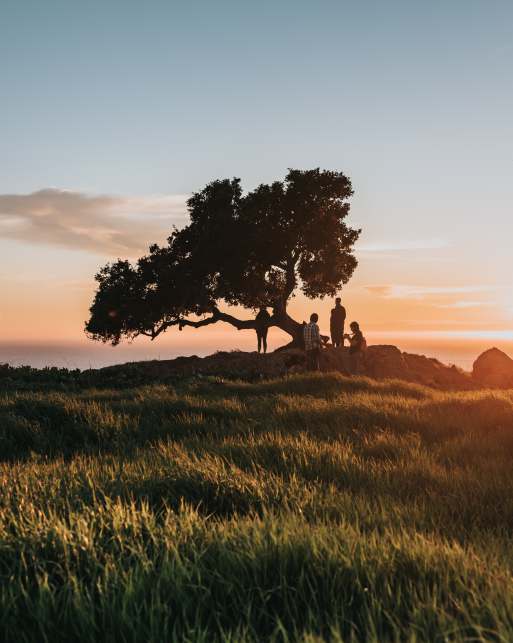 Pôr do sol na Serra Gaúcha